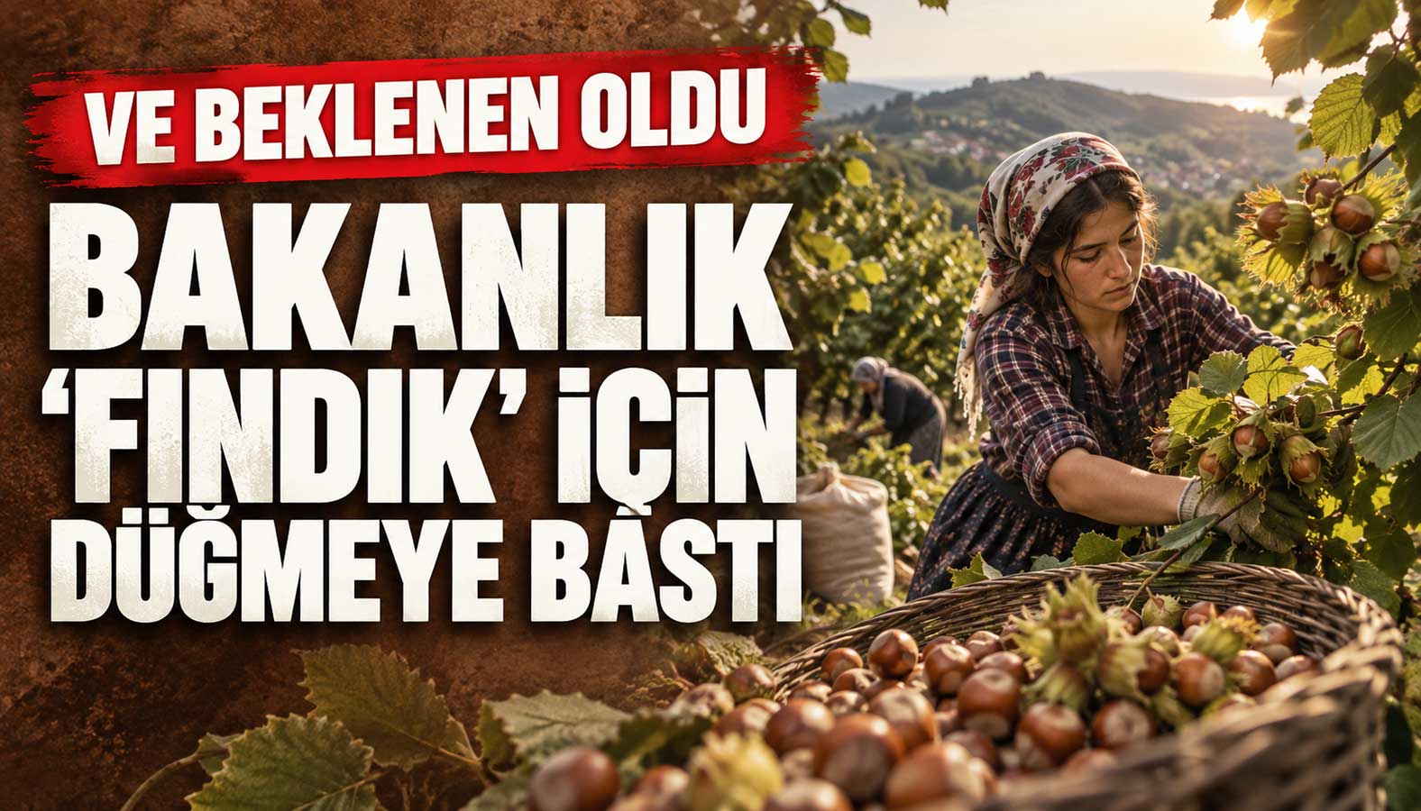 bakanlık fındık borsası için düğmeye bastı